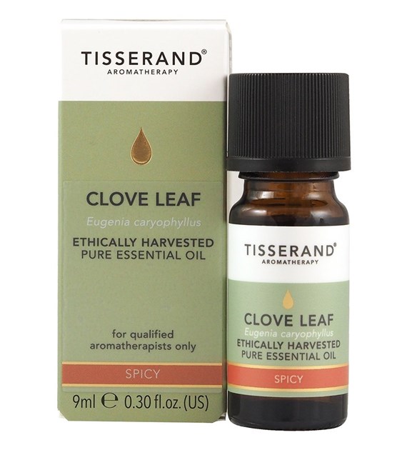 TISSERAND AROMATHERAPY Clove Leaf Ethically Harvested - Olejek Goździkowy (9 ml)