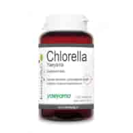 KENAY Chlorella Yaeyama (120 tabl.)