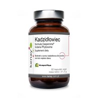 KENAY Boswellis Casperome Indena Phytosome - extract (60 caps)
