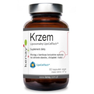 KENAY Krzem liposomalny LipoCellTech (60 kaps.)