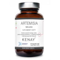 KENAY Artemisia Bylica piołun (60 kaps.)