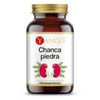 YANGO Chanca piedra (90 caps)