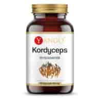 YANGO Kordyceps - ekstrakt 10% polisacharydów (90 kaps.)