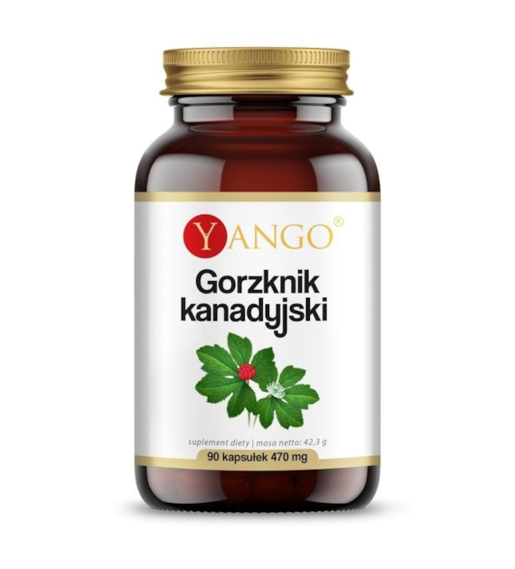YANGO Gorzknik Kanadyjski 380 mg (90 kaps.)