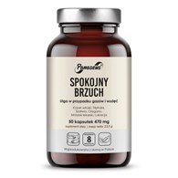 PANASEUS Spokojny brzuch (50 kaps.)
