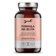 PANASEUS Formuła na jelita (50 kaps.)