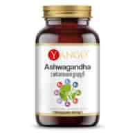 YANGO Ashwagandha with B vitamins (90 caps)