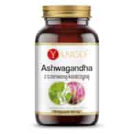 YANGO Ashwagandha with red clover (90 caps)