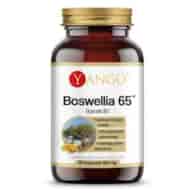 YANGO Boswellia 65 (90 caps)