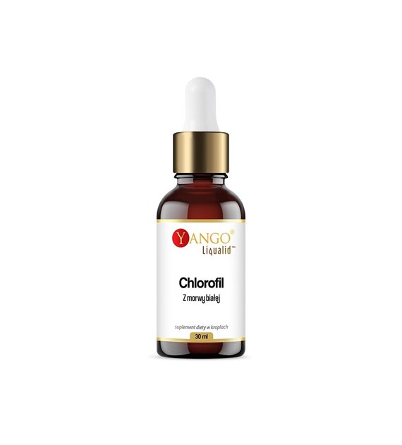 YANGO White Mulberry Chlorophyll in drops (30 ml / 1 fl. oz.)