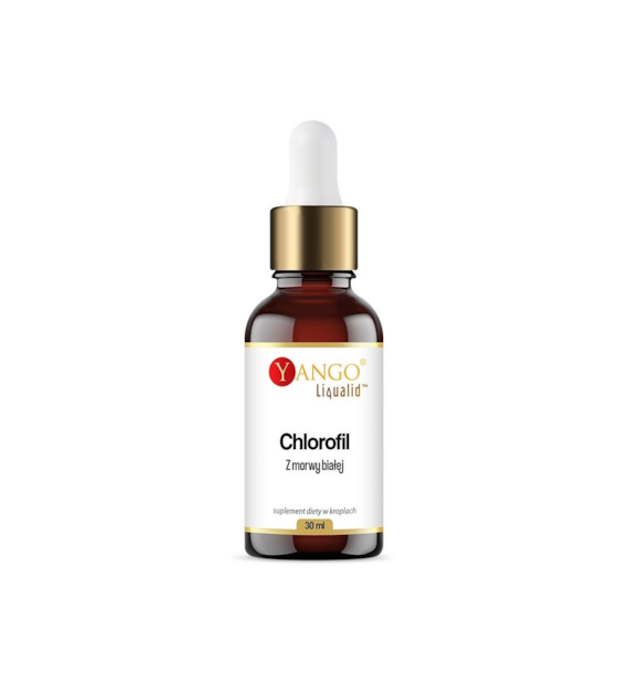 YANGO Chlorofil z morwy białej w kroplach (30 ml)