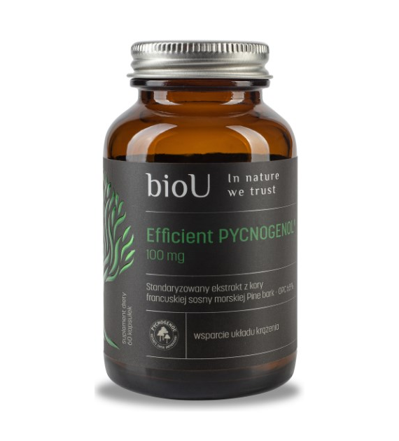 BIOU Efficient Pycnogenol 100 mg - 65% OPC (60 kaps.)