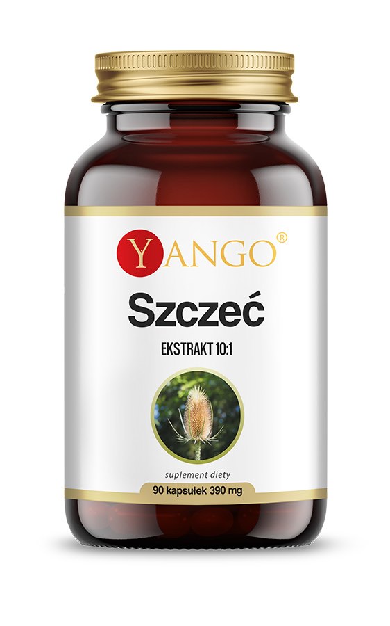 YANGO Dipsacus (90 caps)