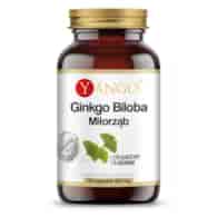 YANGO Ginkgo biloba - ekstrakt (90 kaps.)