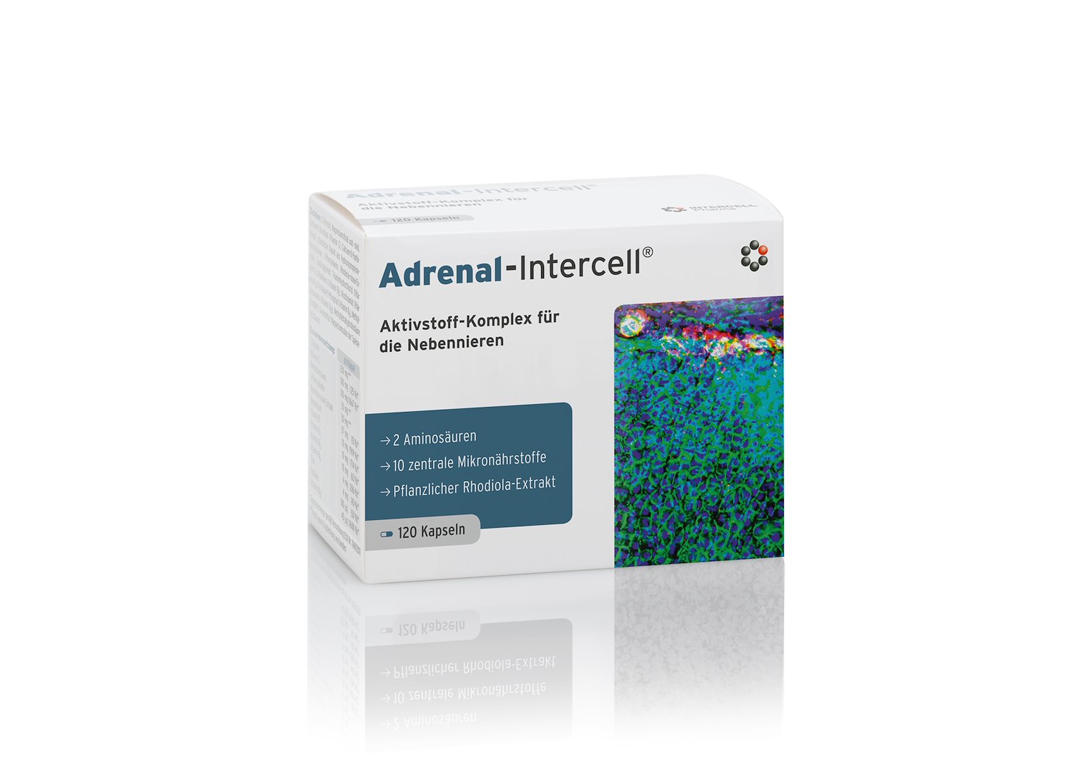 INTERCELL PHARMA Adrenal-Intercell (120 kaps.)