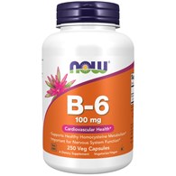 NOW FOODS B-6, 100 mg (250 vcaps)